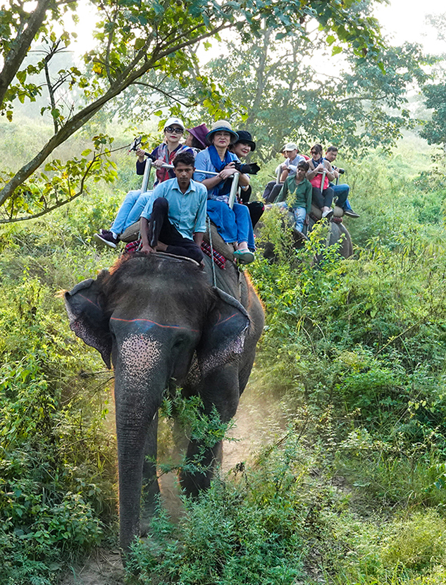 尼泊尔十堰,尼泊尔为什么这么穷