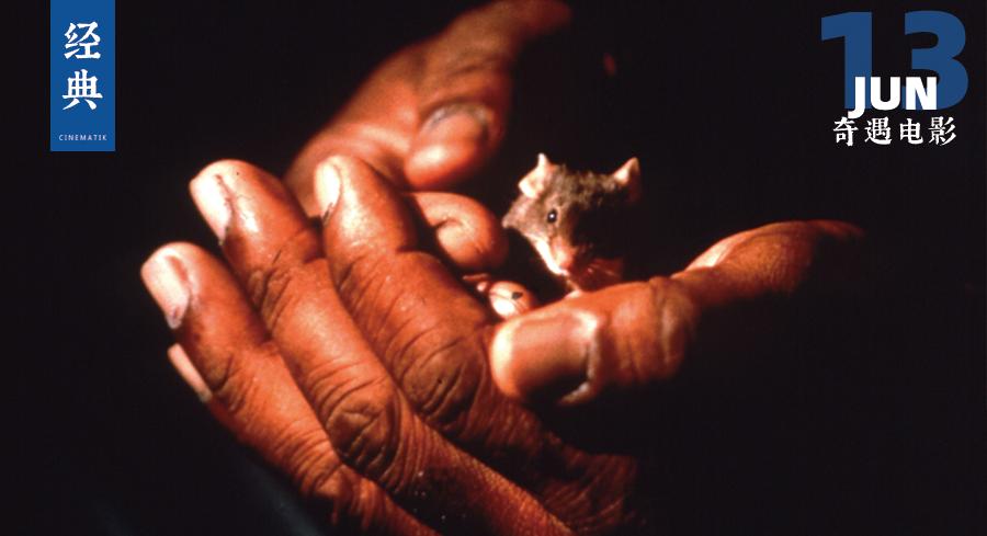 豆瓣8.8一部被严重低估的神作,豆瓣8.8的书