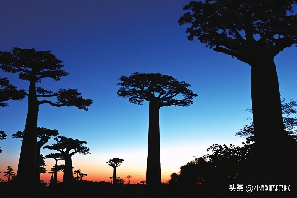 马达加斯加奇葩冷知识,你不知道的国家冷知识摩洛哥