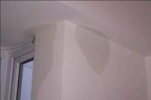 高温天气霉菌怎么处理,南方回南天除湿除霉