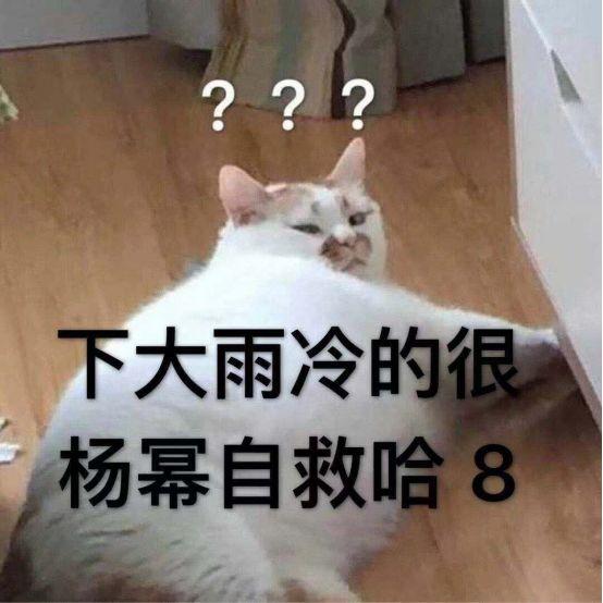 密室逃脱官宣,密室大逃脱定档