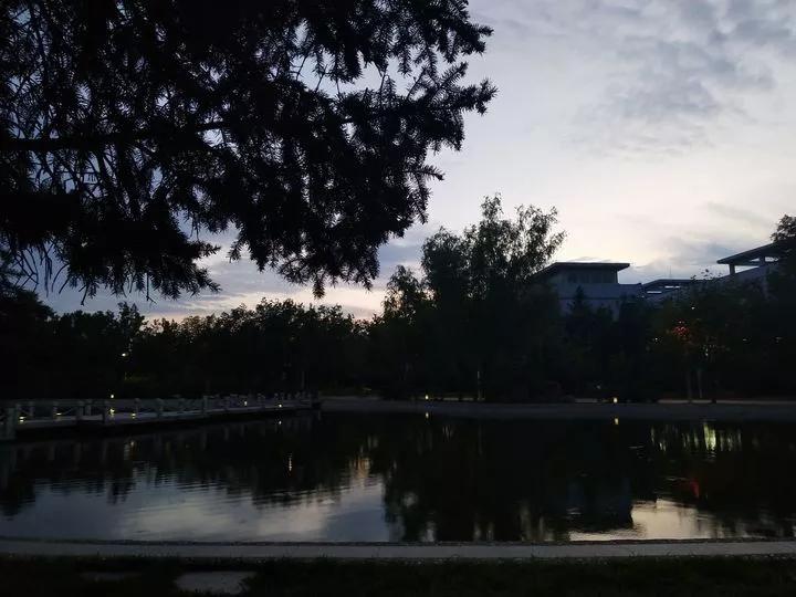 沈阳化工大学辽宁省排名,沈阳化工大学2020招生计划辽宁省