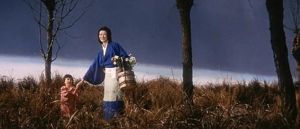 十大恐怖片咒怨,日本恐怖片前十排行榜咒怨