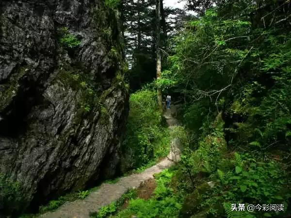 中国各地特产一览表（建议收藏） (中国各地适合送礼特产一览表)