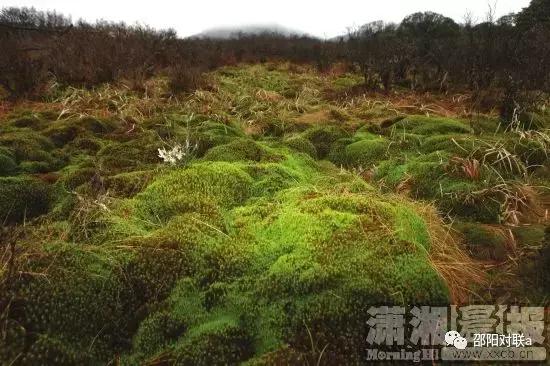 邵阳楹联的基本情况,湖南邵阳楹联碑刻
