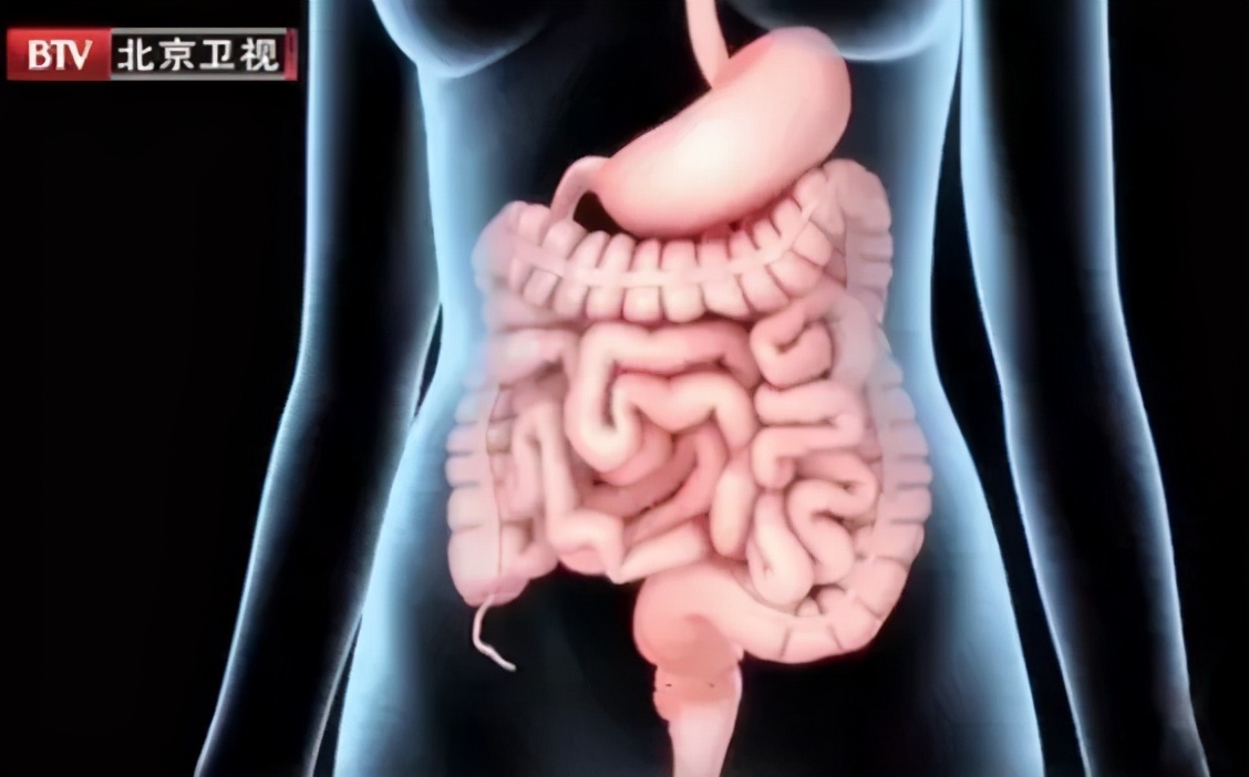 现在人的肠道疾病太多,年轻人肠道疾病