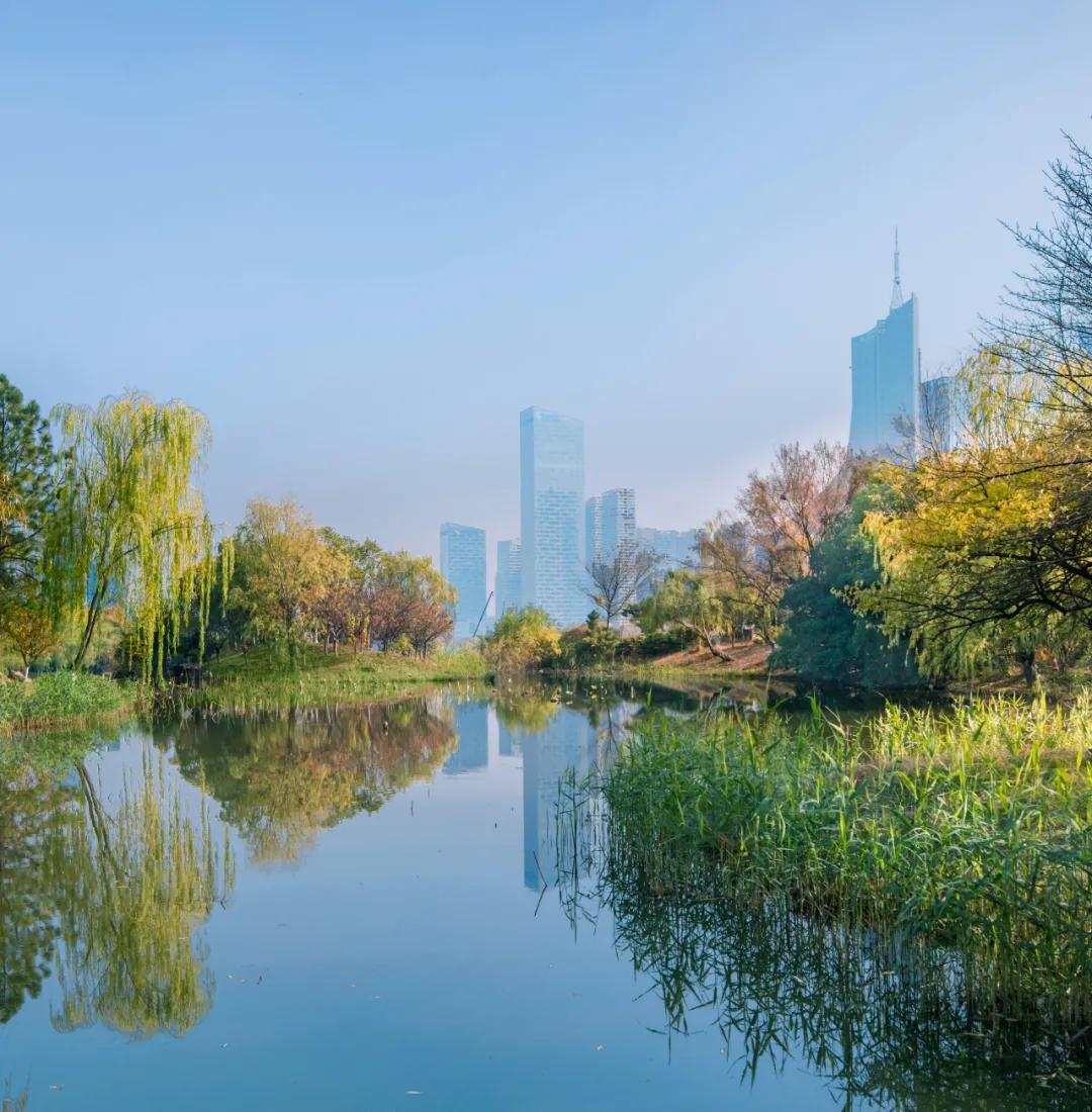 合肥市政务区的天鹅湖介绍,合肥天鹅湖设计