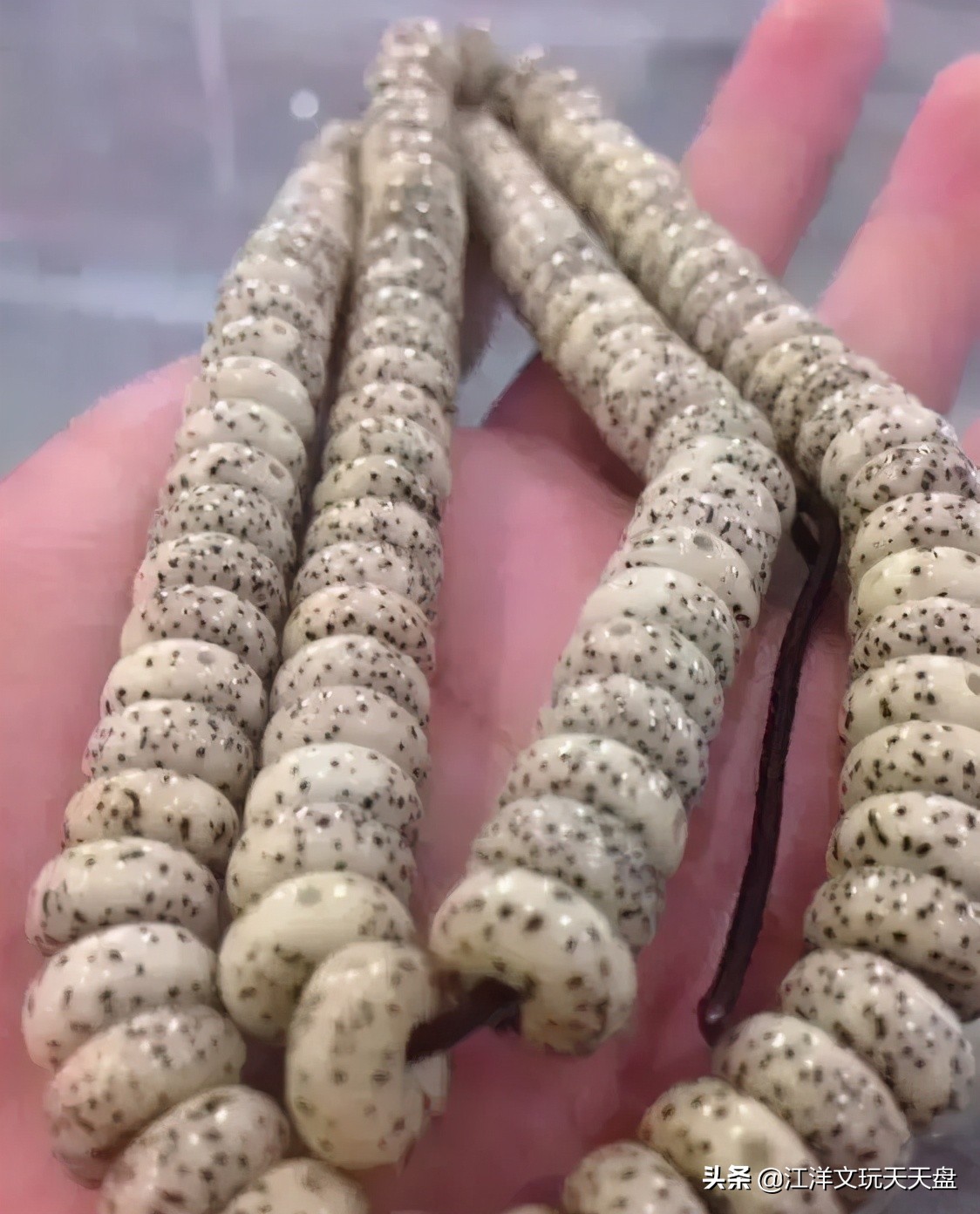 星月挂瓷了还能抛光吗,挂瓷星月样子