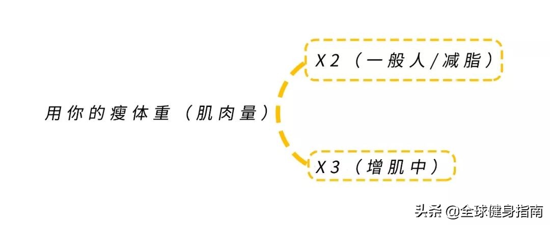蛋白粉什么时候吃最好,蛋白粉怎样吃才是正确的