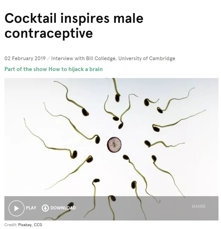 男性避孕药研发团队,男性避孕药研制