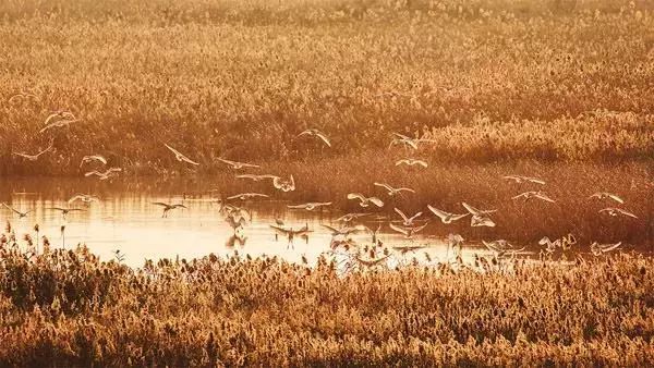 比厦门安静的海滨城市,比厦门安静10倍