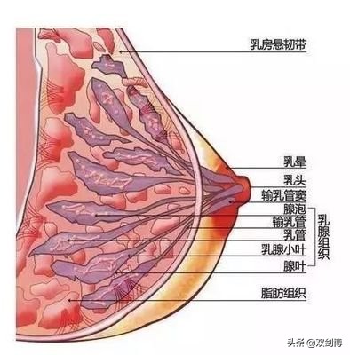 乳房出血是什么原因中年人,乳腺癌晚期乳房出血水怎么解决