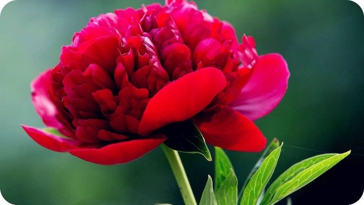 世间事世人度,世间事人间理