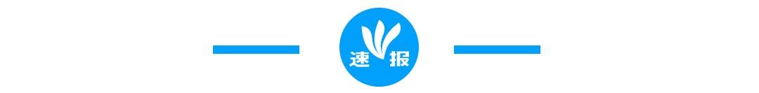 雅虎和line什么关系 (雅虎日本与line合并事宜达成协议)