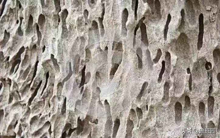 木材受潮腐烂修复,防止木材开裂的最好方法