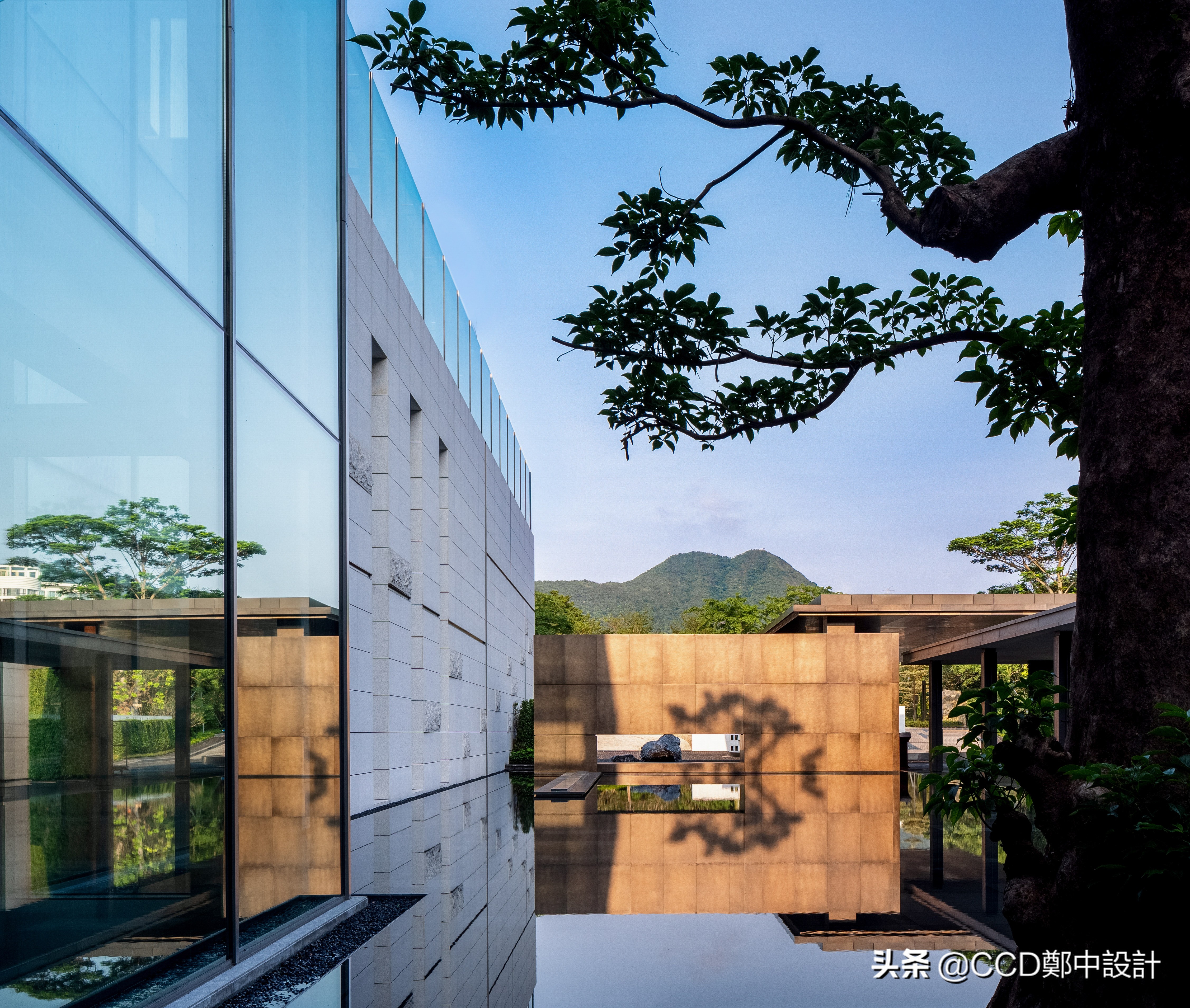 ccd最新酒店,ccd深圳最新酒店设计案例