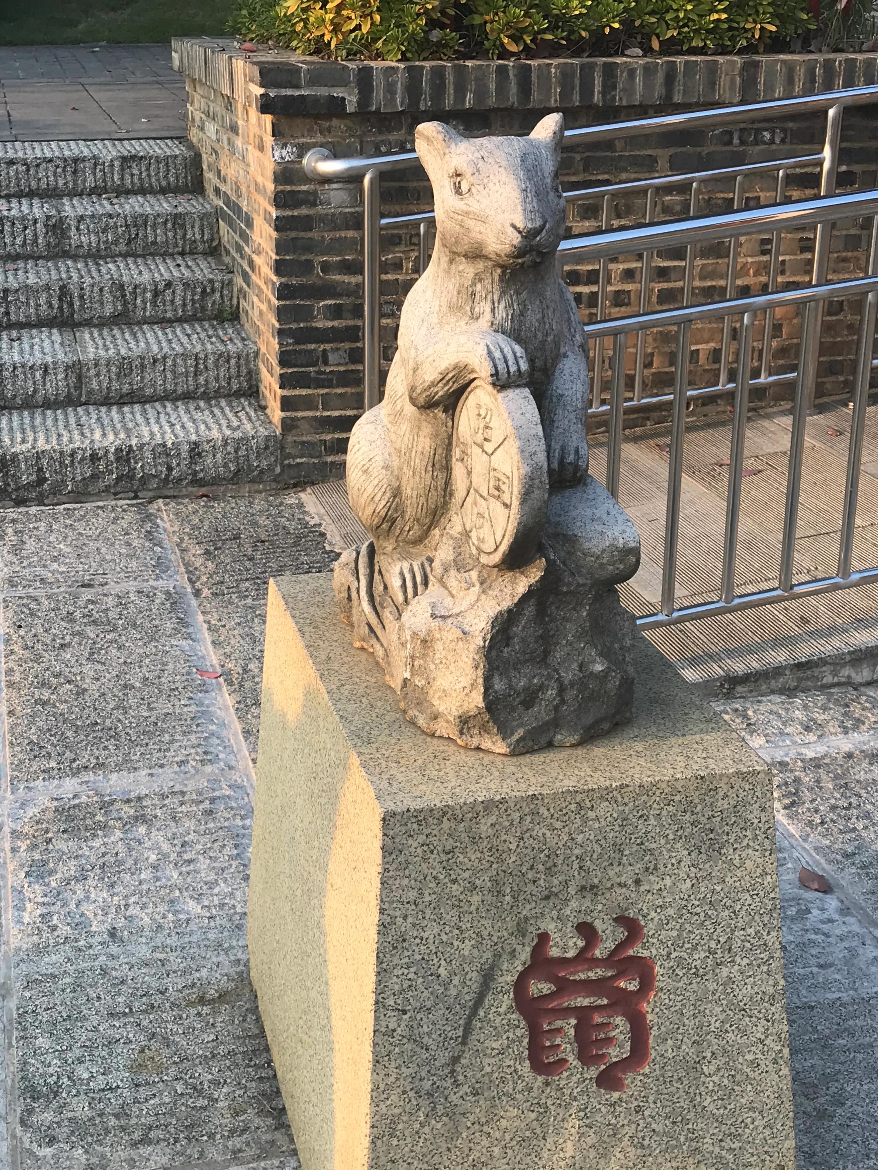 洋沙湖湿地公园游记,洋沙湖游记作文