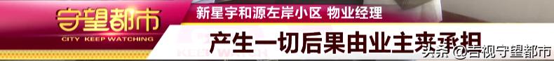 新星宇和源一楼带花园,新星宇和源顶楼
