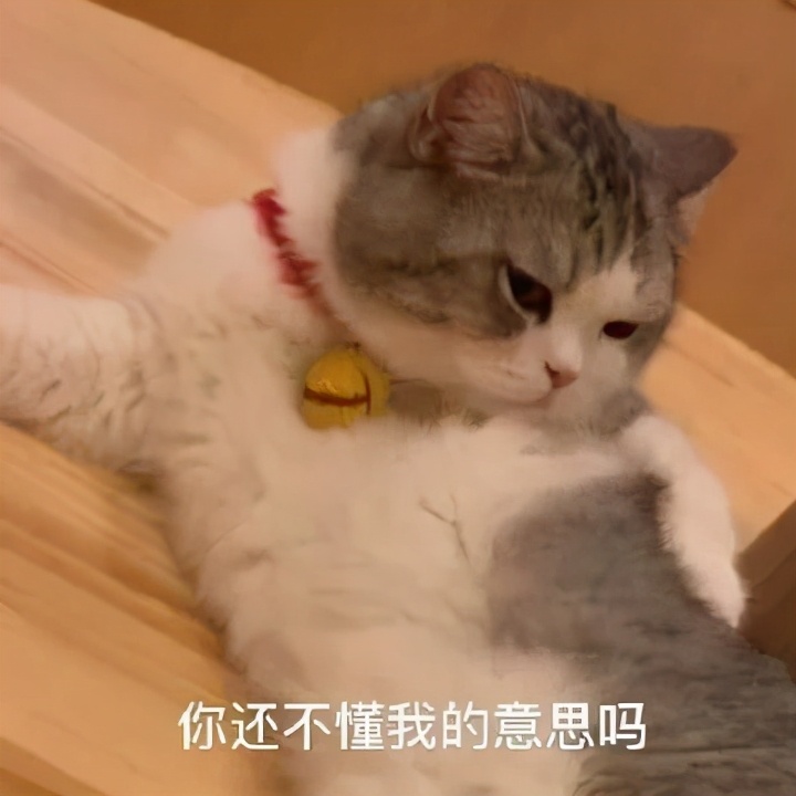 均价1k的贵妇粉底一定好用吗？今天我要说真话了