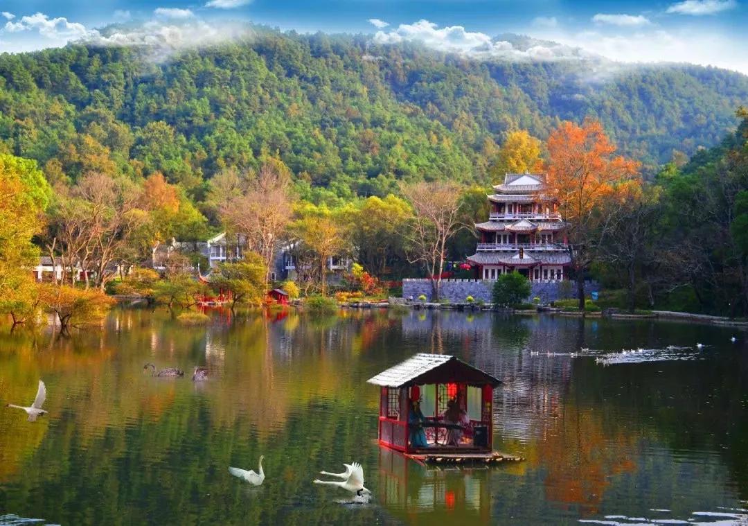 大美桂林欢迎大家,桂林本地人游桂林景区免费