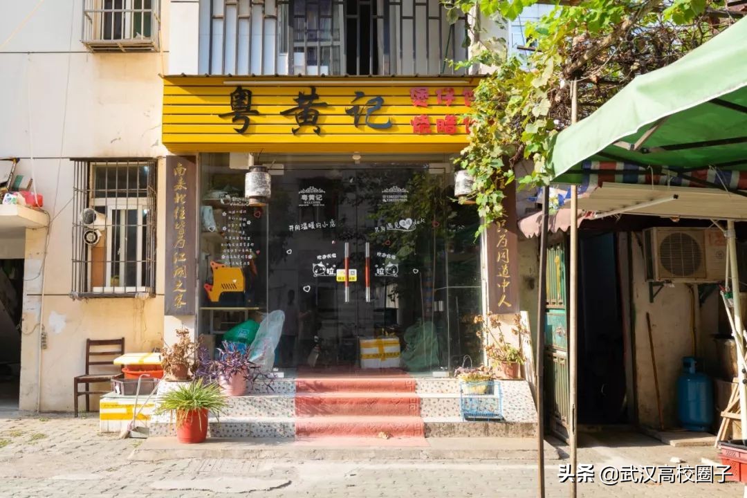 爸妈我想回家视频,爸妈我想回家了原视频