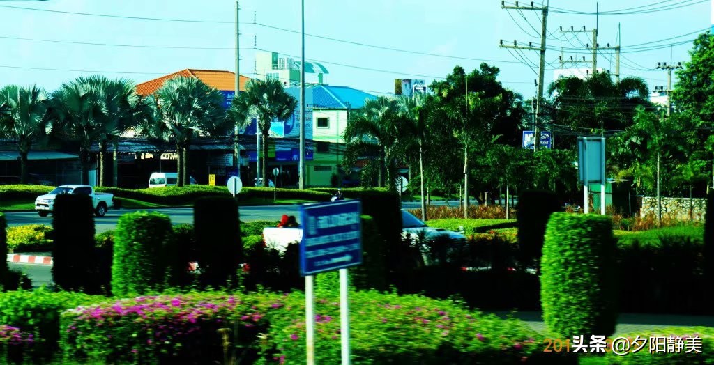 泰国芭提雅东芭乐园视频,芭提雅东芭乐园游玩攻略