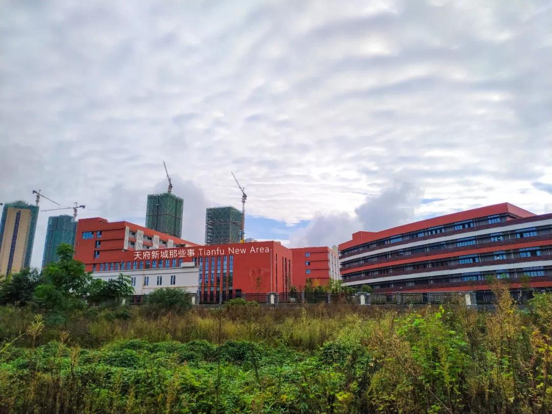 天府新区三大教育集团,天府新区五大教育集团