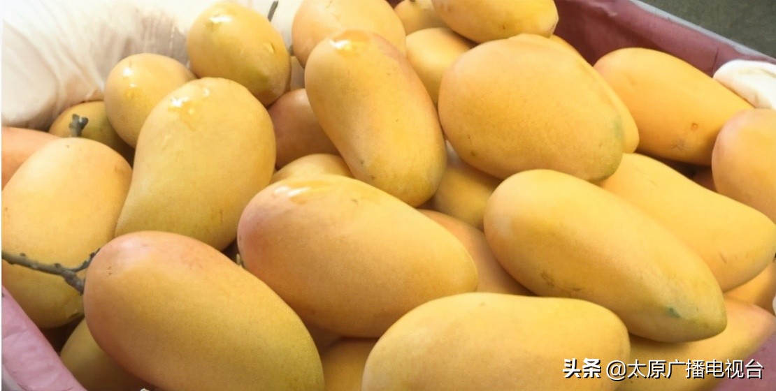 四五月正当季的水果有哪些,五月高端时令水果品种