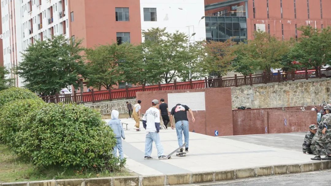 向往的生活1中的小院,精装版向往的生活