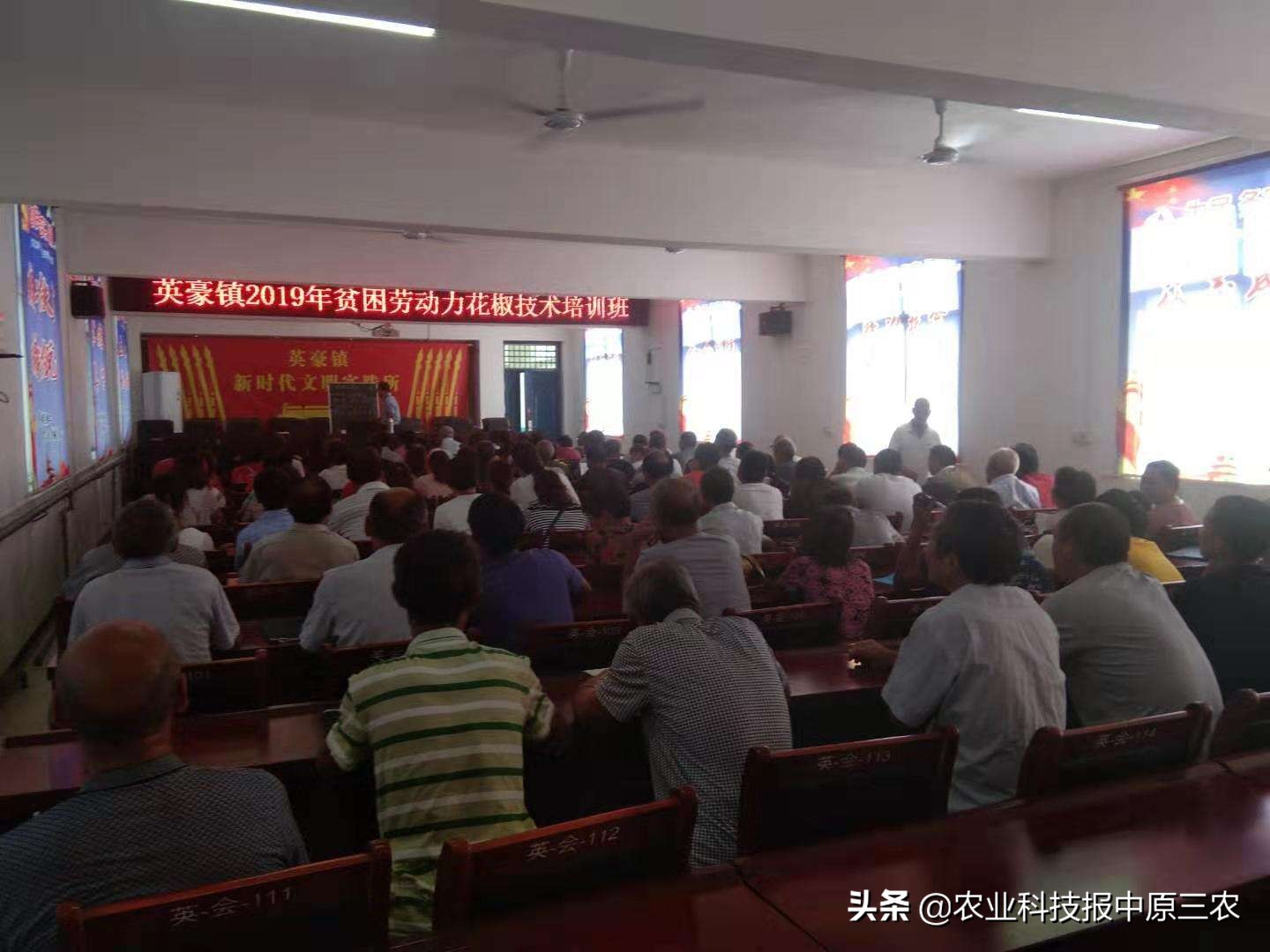 如何防治花椒树上的蚜虫,如何治花椒树上的蚜虫