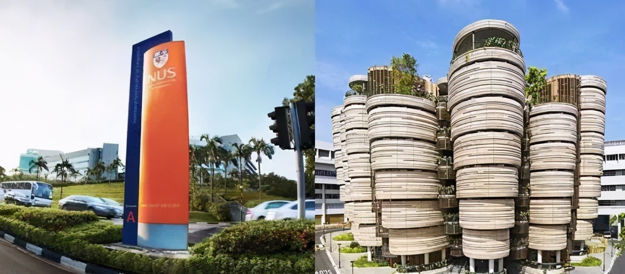 新加坡大学各专业全球排名，材料科学石油工程全球第一