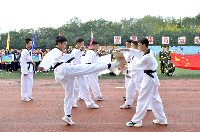 学子亮相省运会开幕式,初中校运会开幕式入场创新表演