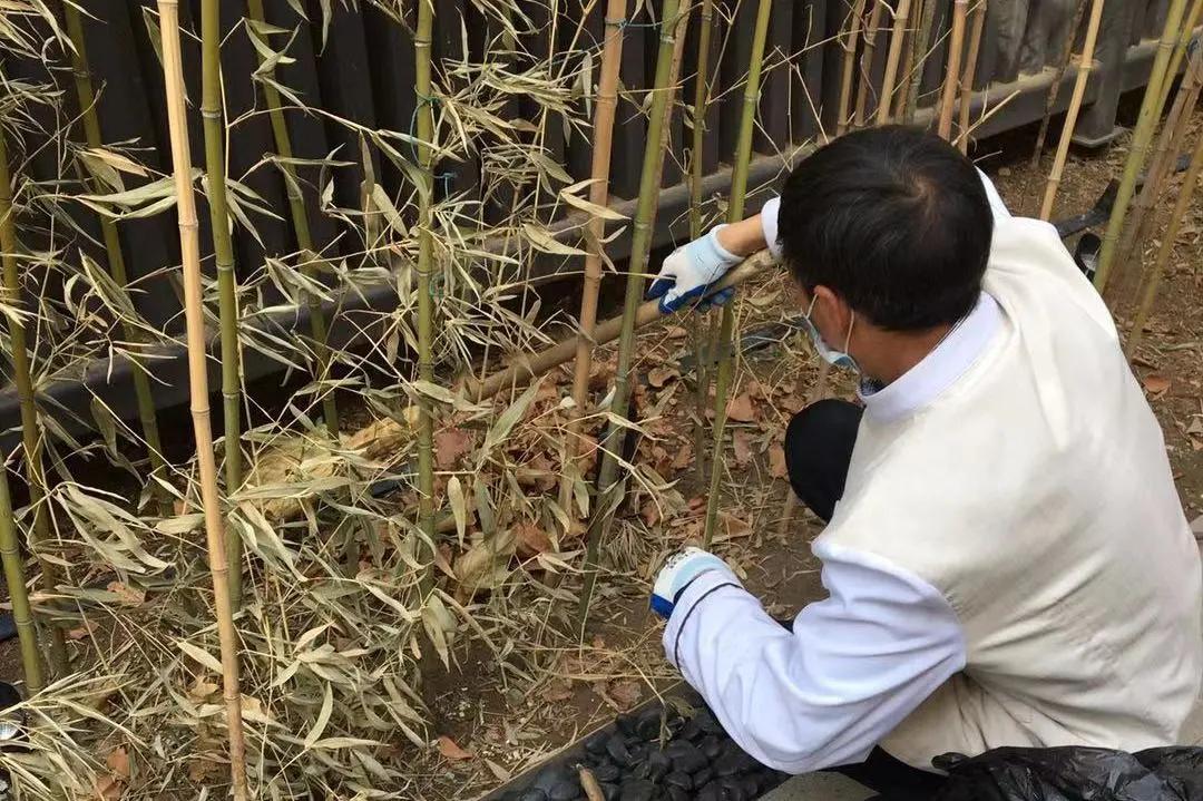 走在春天里简谱,歌曲走在春天里