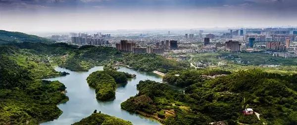 我说龙泉驿，你说好安逸！这座城的命运，正被幸福改写