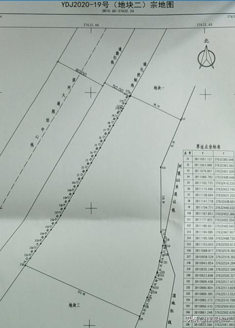 正商洛阳拿第二块地,正商洛阳拿地