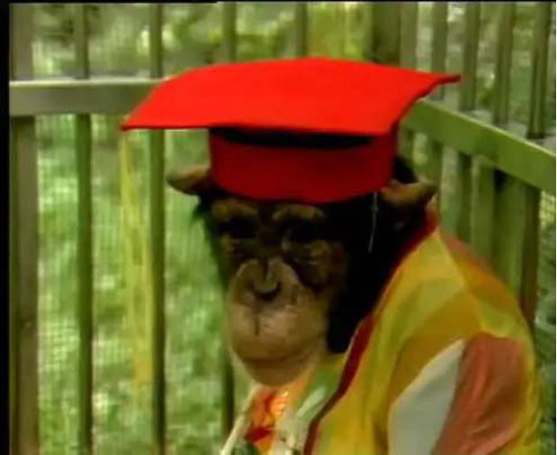 尘封的宝藏，童年的记忆：《动物王国窃案》及那些被遗忘的神作