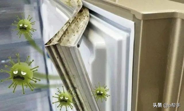 发霉的霉菌100度能杀死吗,发霉的霉菌最怕什么