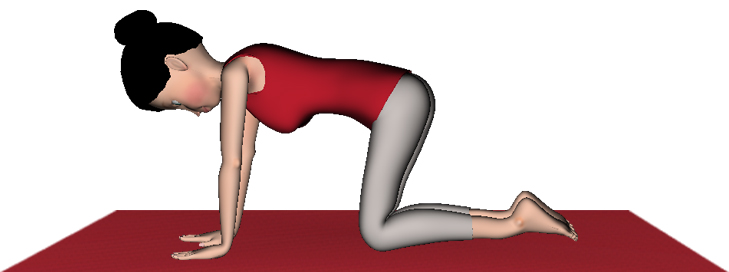 下犬式属于什么瑜伽,下犬式瑜伽调整什么