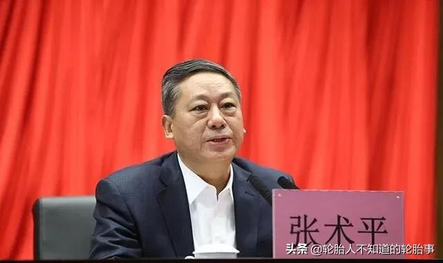 玲珑集团成员,玲珑集团资产排名