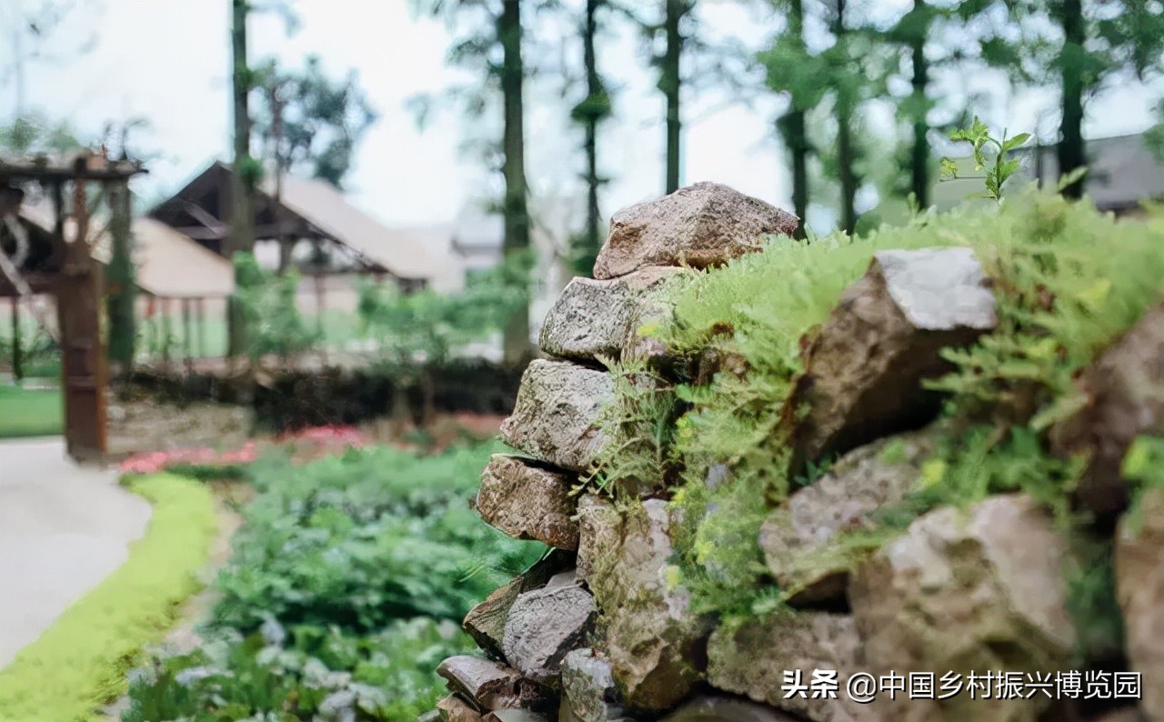 乡村振兴案例2021,乡村振兴案例2022