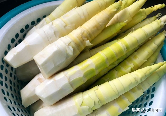 竹笋焯过水可以用盐腌制吗,竹笋要煮一下再炒吗