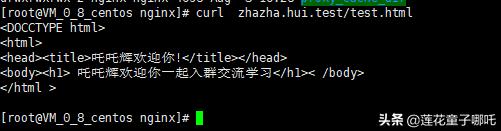 缓存架构,缓存结构