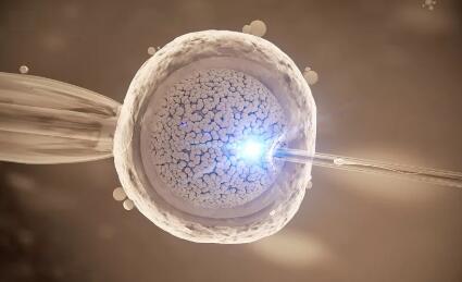 做试管婴儿多长时间就知道成功了,做试管婴儿有哪些主要花费