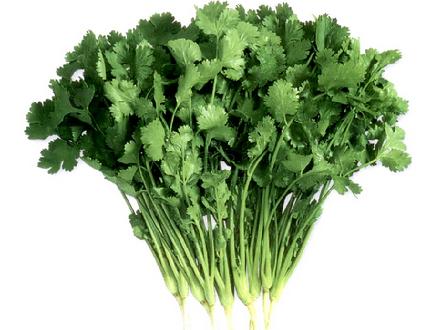 二次元中毒名场面,二次元可怕的人