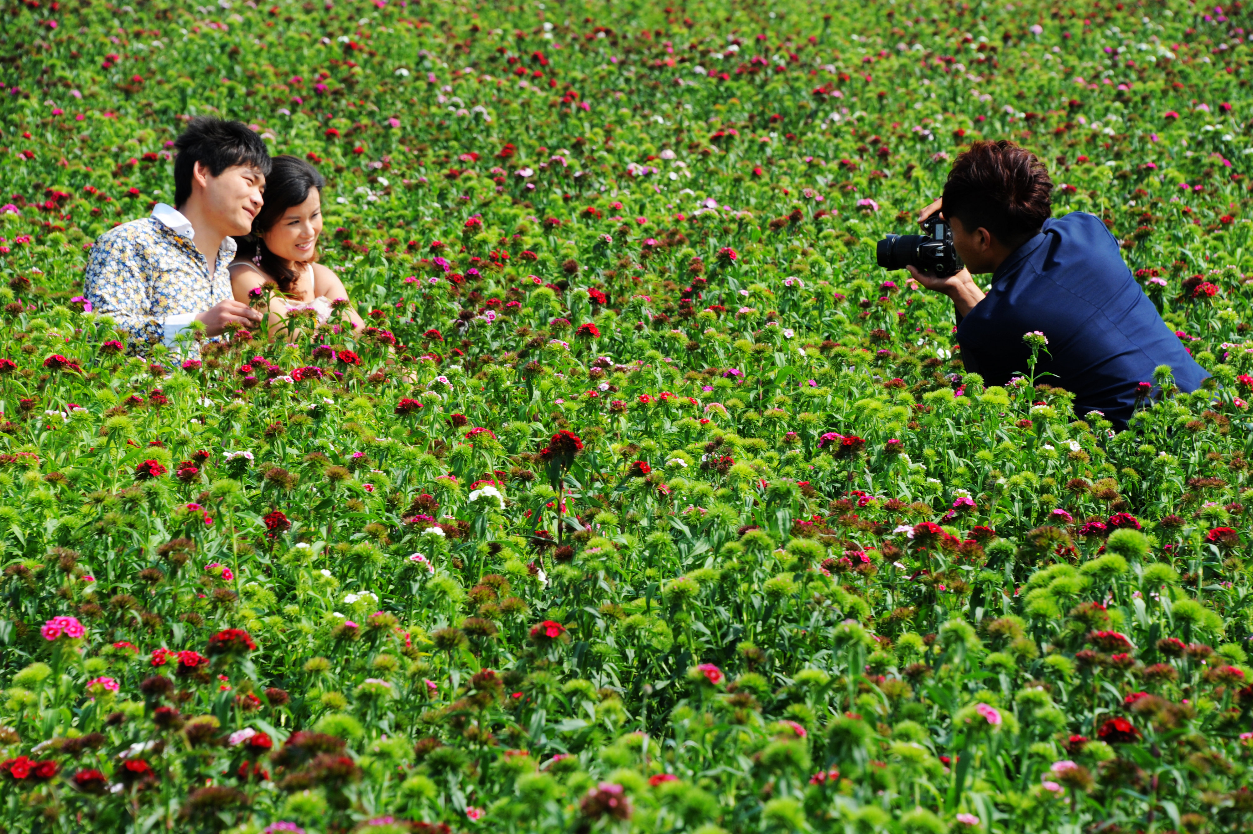 世界第一婚纱摄影基地,婚纱摄影基地景点