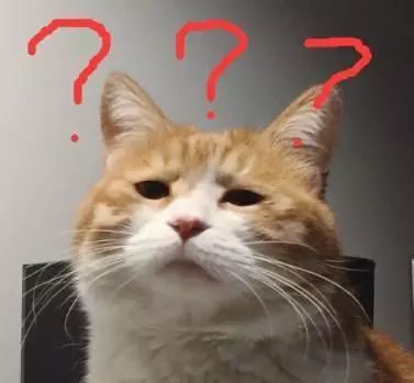 被潭州教育抄袭后，我决定发起“花样吐槽大赛”