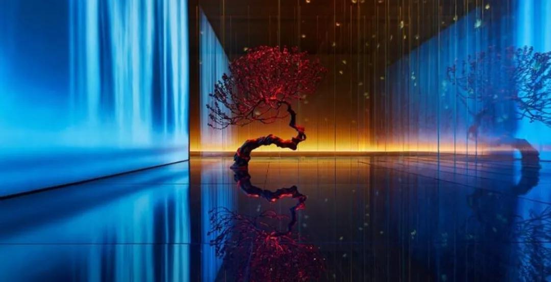 鐫夸綇澶╁厓鐠熸偊椋庡崕,鐫跨瓚澶╁厓