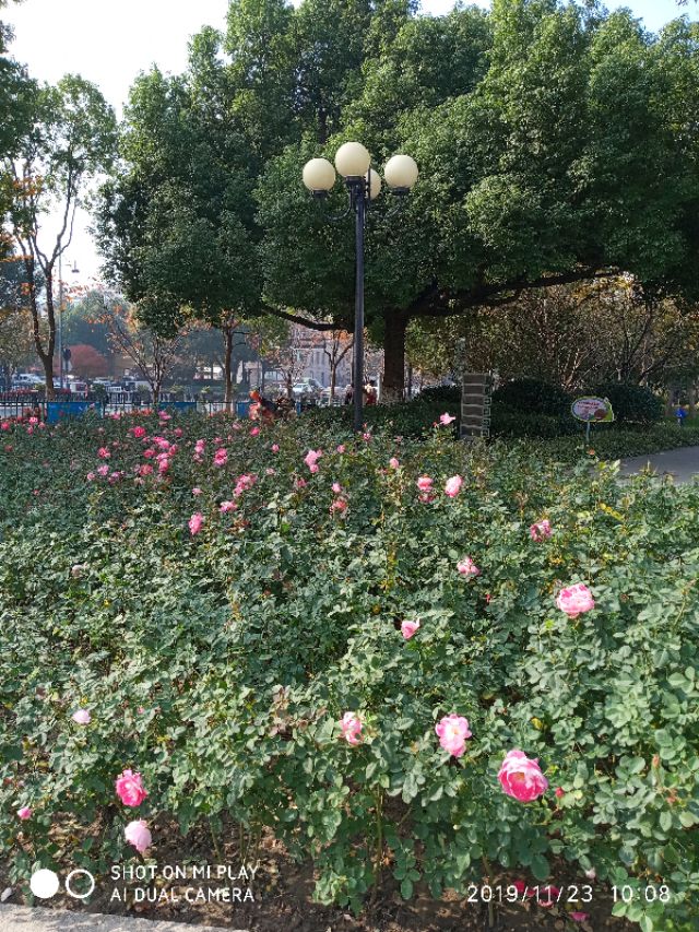 杭州余杭临平历史,杭州记忆工坊在哪里