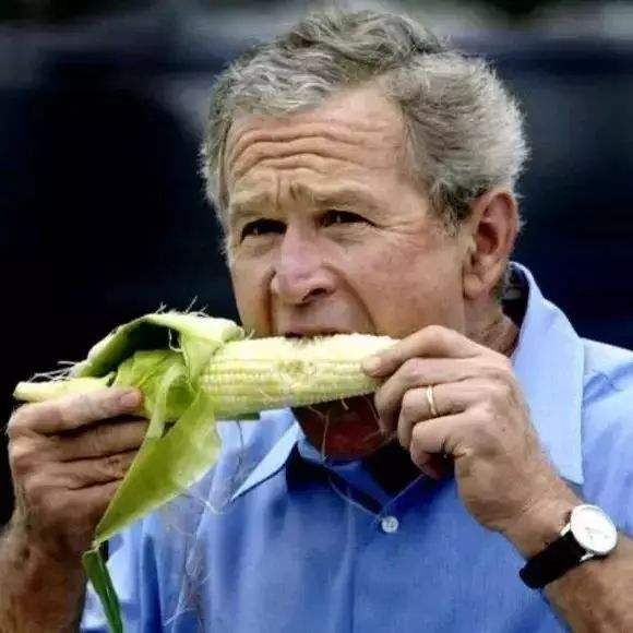 水果玉米和糯玉米是转基因食品吗,爆汁玉米是转基因吗