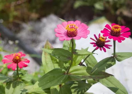 越南桂林自驾游攻略,广西中越边境游攻略